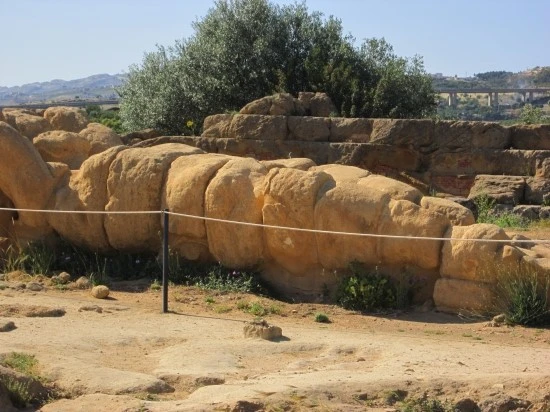 %BD%C3%C4%A5%B8%AE%BE%C6%BB%E7%C1%F8_252.jpg?type=w2