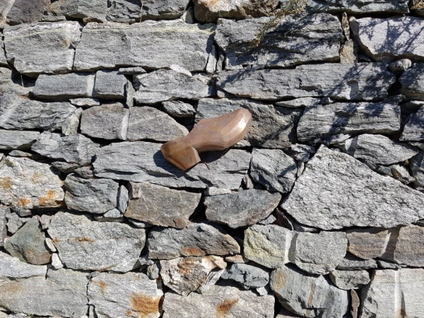 20230905_104527.jpg?type=w773