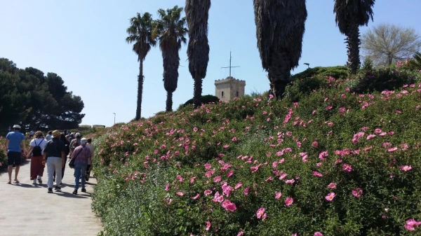 20180421_121400.jpg?type=w773