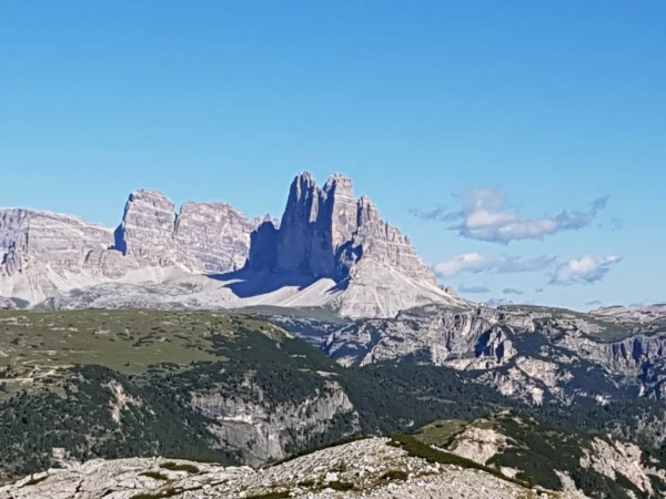 20190903_163216.jpg?type=w773