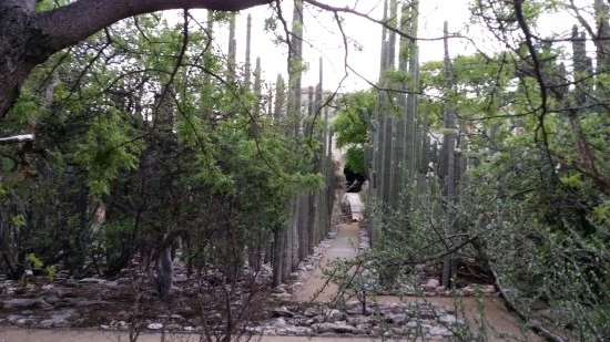 20160509_185217.jpg?type=w2