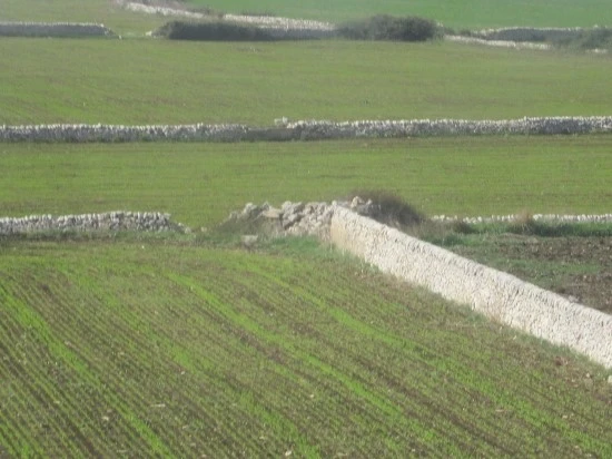 %C0%CC%C5%BB%B8%AE%BE%C6%BF%A9%C7%E0_2012.10_269.jpg?type=w2