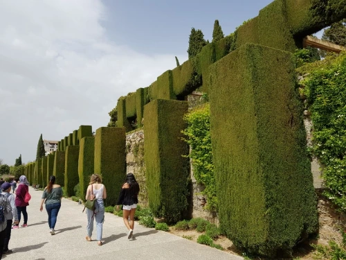 1528110466218.jpeg?type=w773