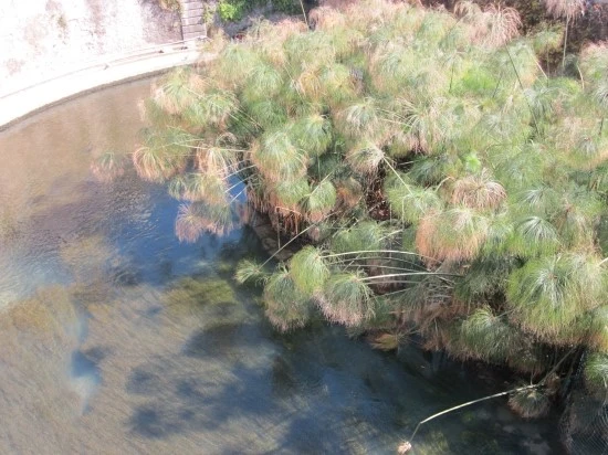 %C0%CC%C5%BB%B8%AE%BE%C6_%BF%A9%C7%E0_2012-5_524.jpg?type=w2