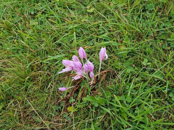 20230913_111838.jpg?type=w1