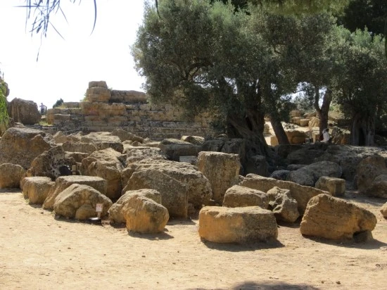 %BD%C3%C4%A5%B8%AE%BE%C6%BB%E7%C1%F8_249.jpg?type=w2