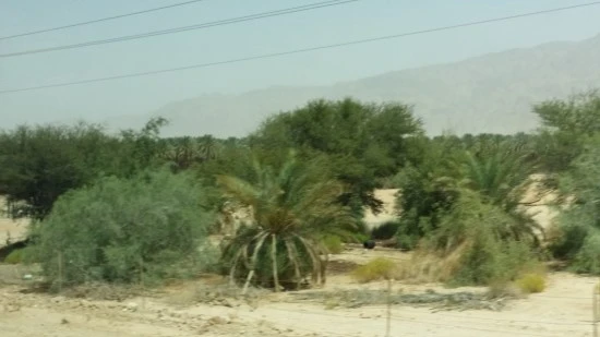 20170421_132508.jpg?type=w2