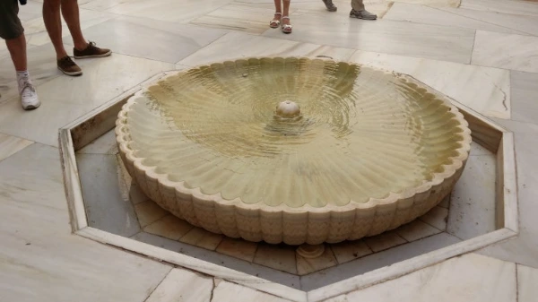 20180422_164521.jpg?type=w773