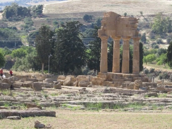 %BD%C3%C4%A5%B8%AE%BE%C6%BB%E7%C1%F8_263.jpg?type=w2