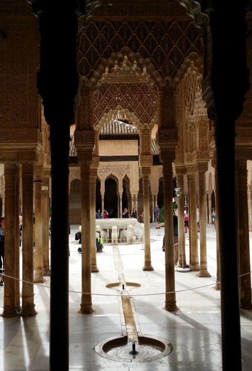 20180422_175232.jpg?type=w773