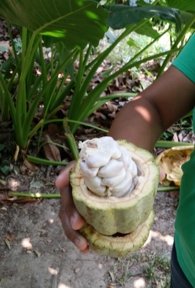 20160512_141234.jpg?type=w2