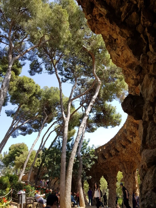 1527389467585.jpeg?type=w773