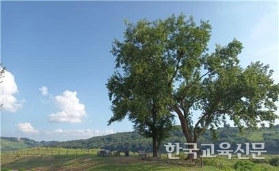 art_17358819417914_168024.jpg?iqs=0.8989047574991462