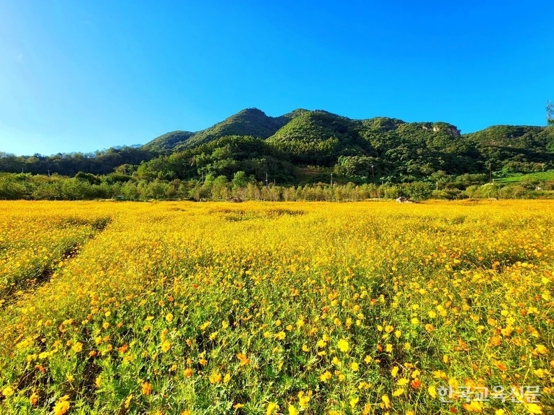 art_17356442185544_818816.jpg?iqs=0.9948033045815694