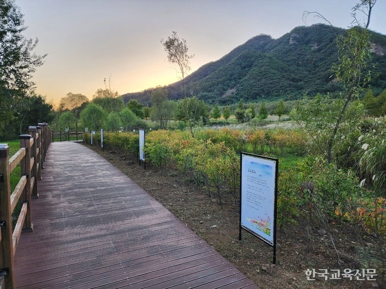 art_17356442438691_44c5d1.jpg?iqs=0.971119028430236