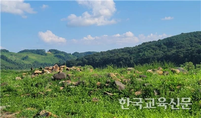 art_17351818312894_3a8b07.png?iqs=0.3151619598755533