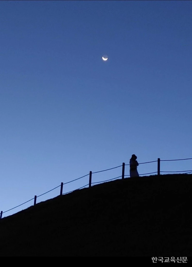 art_1735879748456_e5be9f.jpg?iqs=0.9365994421501915