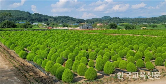 art_17351818683718_e99500.png?iqs=0.9903638713163676