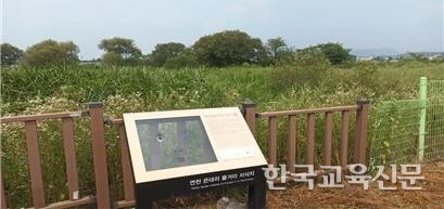 art_17358807759709_887e2d.jpg?iqs=0.5006957726438126