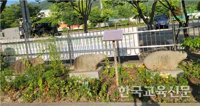 art_17350245220004_311483.png?iqs=0.49505523513320737