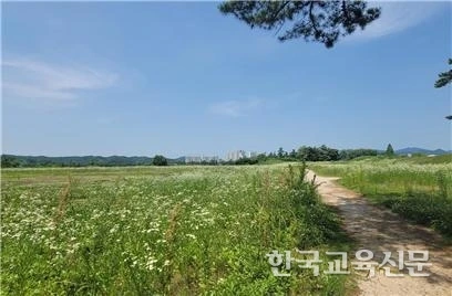 art_17358795414702_f2f1f0.jpg?iqs=0.6022209486516323