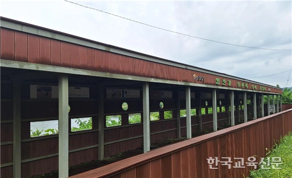 art_17349102001019_df26f6.png?iqs=0.7847894810279106