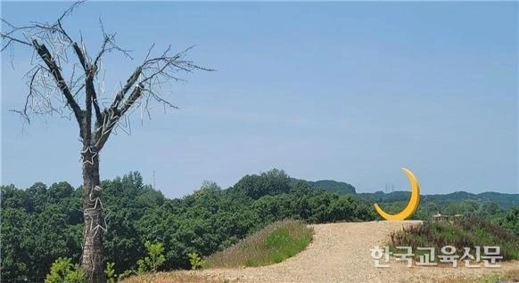 art_17358797479461_0726ee.jpg?iqs=0.38879650137794974