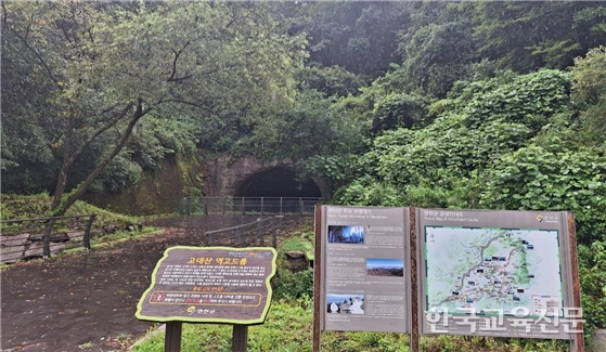 art_1735182221873_666c29.png?iqs=0.06267198100852589