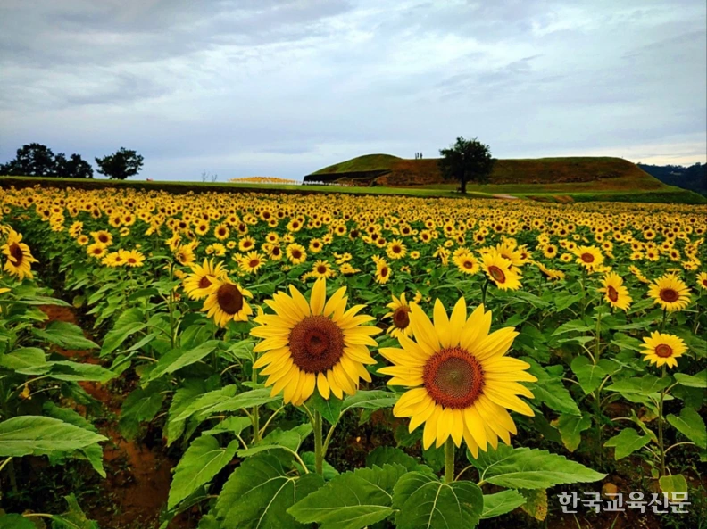 art_17350234260812_4beaf9.png?iqs=0.060109685798288126