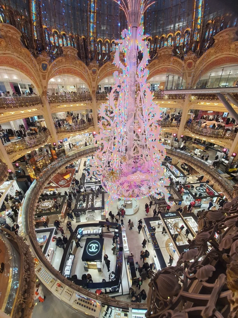 20241205_161151.jpg?type=w773