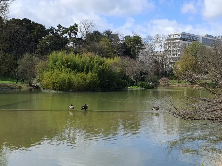 20230325_143720.jpg?type=w773