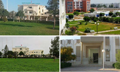 ?src=%22https%3A%2F%2Fdimg-pa.googleapis.com%2Fic%2FCmFodHRwczovL2xoNS5nb29nbGV1c2VyY29udGVudC5jb20vcC9BRjFRaXBNZmRWM2FyYmRFeHJMdlpxWFgxcm93akdYVVduS2pzUXJzMzItQz13MzA1LWgxNTgtbi1rLW5vCmFodHRwczovL2xoNS5nb29nbGV1c2VyY29udGVudC5jb20vcC9BRjFRaXBOdDF6NlNmWDBTV2dXamw2VDV6Q1Y0QUhYbWtVbktrTFA1WWNFbT13MzA1LWgxNTgtbi1rLW5vCmFodHRwczovL2xoNS5nb29nbGV1c2VyY29udGVudC5jb20vcC9BRjFRaXBQVE80MUNKN1d2YVdSMkJGZThRUU5wN1BzdFR2M2pfc2RrdUVoND13MzA1LWgxNTgtbi1rLW5vCmFodHRwczovL2xoNS5nb29nbGV1c2VyY29udGVudC5jb20vcC9BRjFRaXBQNWh4N3RpMVJlTHF3NE5hN2RZcVcwcUdGRHJIaE9BaTBuTkhGZj13MzA1LWgxNTgtbi1rLW5vEAQgwQIo5wQyByNGRkZGRkY%3D.png%3Fsig%3DADAjv9I1WVuqW3nKgypqVWf4amyl%26sk%3DqyMeLoswykA%253D%26key%3DAIzaSyCkxh2o-kzOhtsG5ZdGEwQc8Vab9b0bTUg%22&type=ff500_300