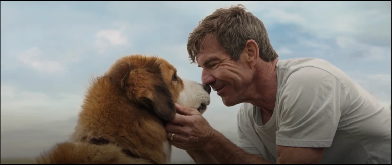 %EB%B2%A0%EC%9D%BC%EB%A6%AC%EC%96%B4%EA%B2%8C%EC%9D%B8_23.PNG?type=w773