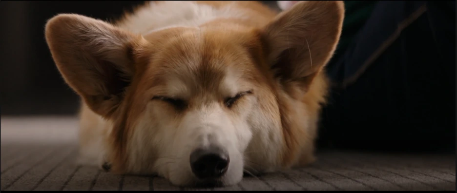 %EB%B2%A0%EC%9D%BC%EB%A6%AC%EC%96%B4%EA%B2%8C%EC%9D%B8_16.PNG?type=w1