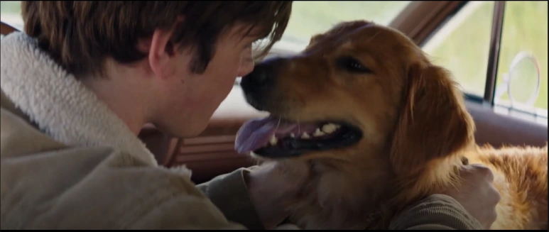 %EB%B2%A0%EC%9D%BC%EB%A6%AC%EC%96%B4%EA%B2%8C%EC%9D%B8_09.PNG?type=w773