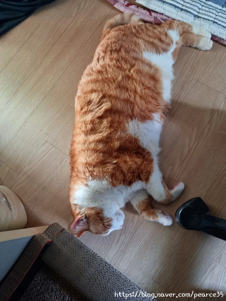 SE-8f0abfa5-c499-11ed-b333-796653fd51a0.jpg?type=w773