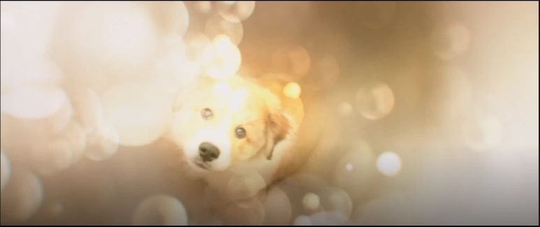 %EB%B2%A0%EC%9D%BC%EB%A6%AC%EC%96%B4%EA%B2%8C%EC%9D%B8_17.PNG?type=w773