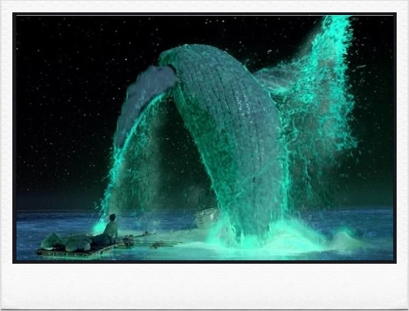 life_of_pi_03.png?type=w2