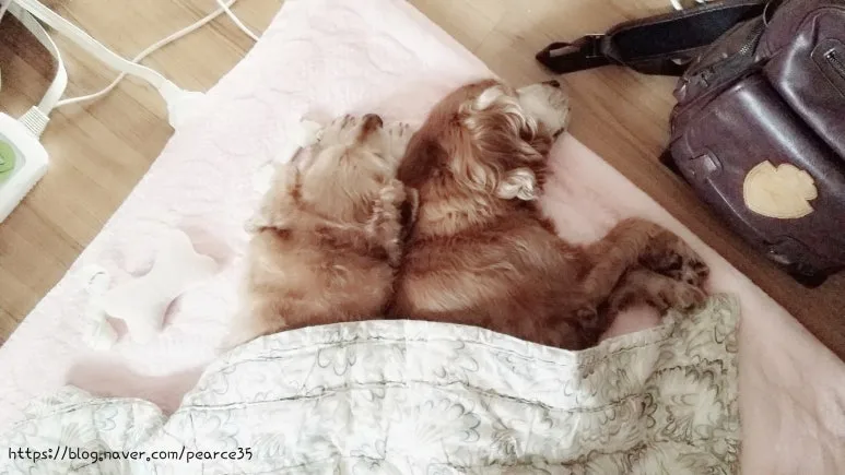 SE-23b7e38b-bd9e-4e14-acce-4080427c8192.jpg?type=w773