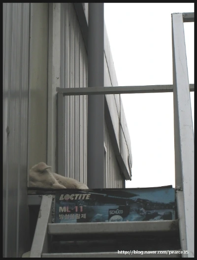 img_1490_pearce35.jpg?type=w2