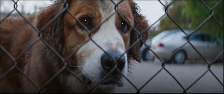 %EB%B2%A0%EC%9D%BC%EB%A6%AC%EC%96%B4%EA%B2%8C%EC%9D%B8_18.PNG?type=w773