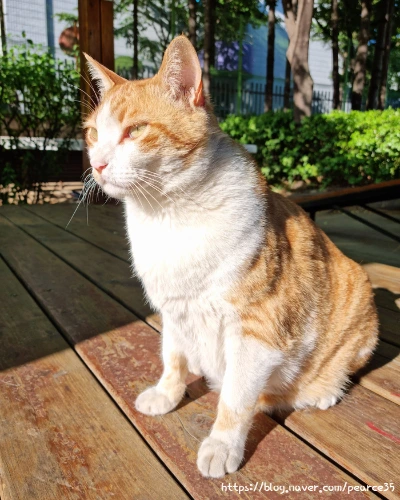 SE-caa49ef1-1838-4772-840b-2a21a543ea1d.jpg?type=w773