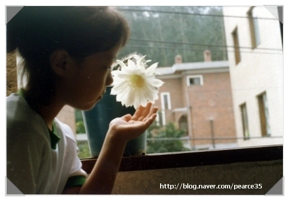 sj2_pearce35.jpg?type=w2