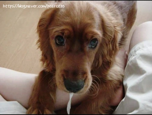 SE-bf1040cc-e531-46a2-854d-a9e47289f85d.jpg?type=w773