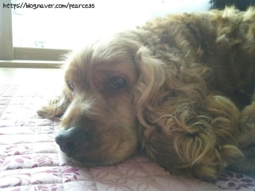 SE-05e804f8-90fa-11ef-aa62-4f6f4bb67ff0.jpg?type=w773