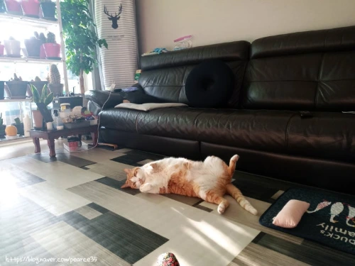 SE-2516beb6-20f3-4d70-82ea-565f049b3370.jpg?type=w773