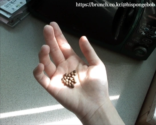 p091011_001_pearce35.jpg?type=w2