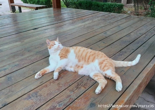 SE-ed07f668-e1ec-4f55-8b57-533ee53355c3.jpg?type=w773