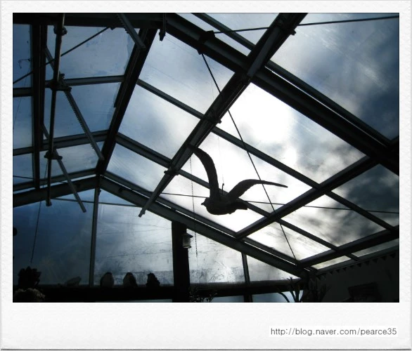 2010_10_28_306.jpg?type=w2