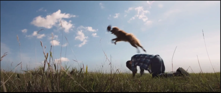 %EB%B2%A0%EC%9D%BC%EB%A6%AC%EC%96%B4%EA%B2%8C%EC%9D%B8_04.PNG?type=w773